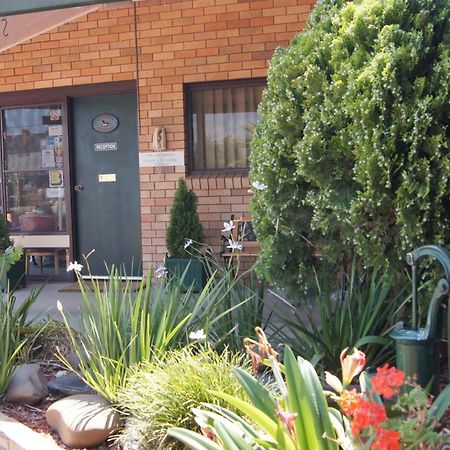 Ningana Motel Mudgee Exterior photo
