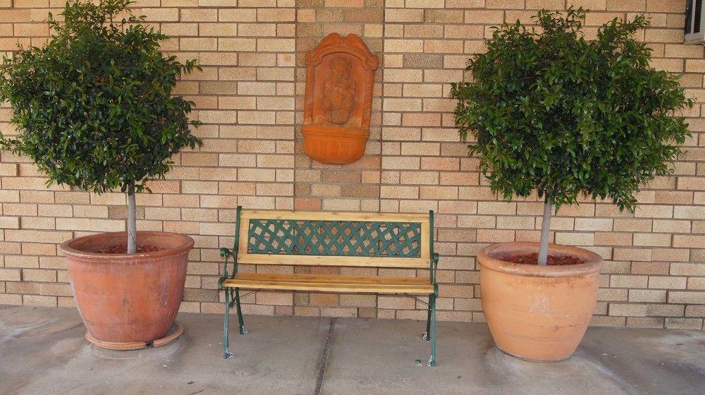 Ningana Motel Mudgee Exterior photo